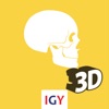 Educational Anatomy 3D icon