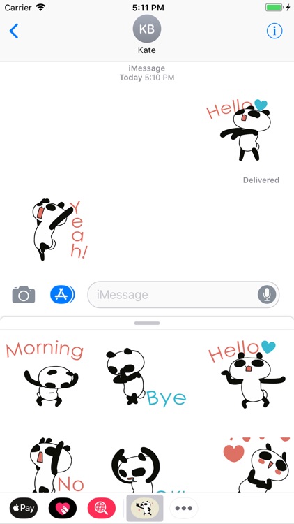 Punny Panda Bear Animated