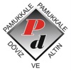 Pamukkale Döviz icon