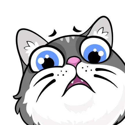 AnonCat – Анонимные чаты Читы