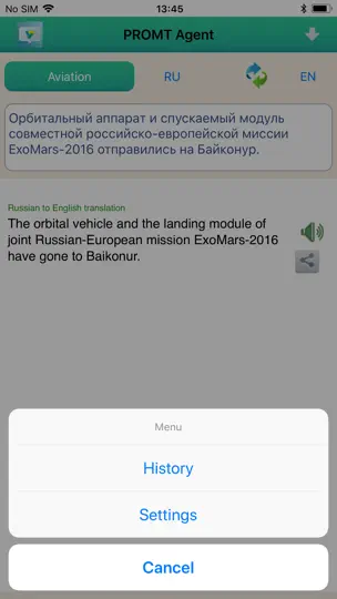Screenshot von PROMT Agent auf dem iPhone 3
