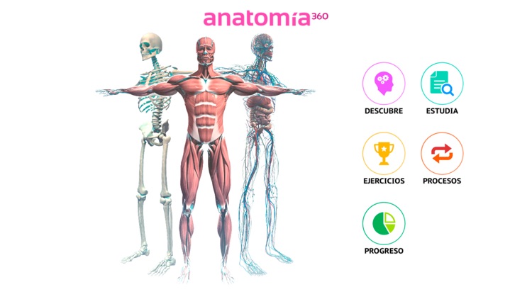 Anatomía 360