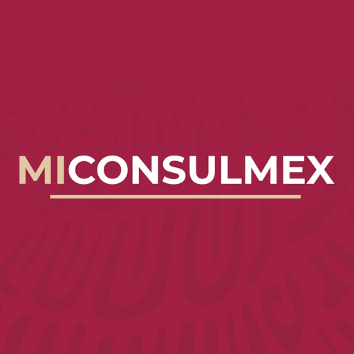 MiConsulmex Icon