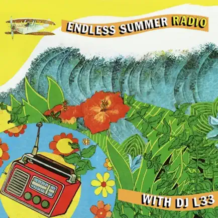 Endless Summer Radio Player Читы