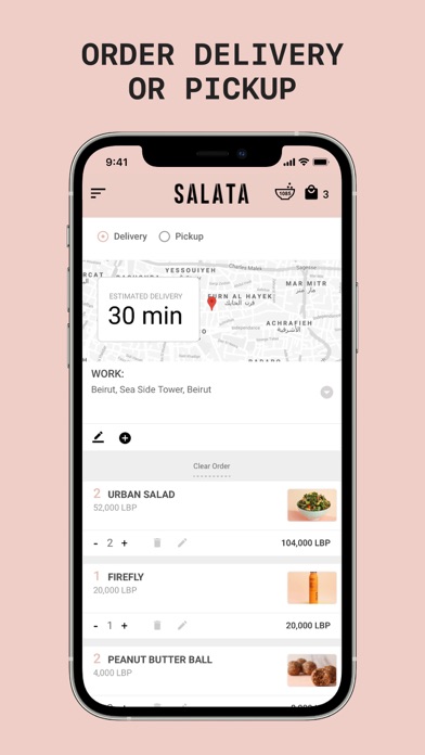 SALATA Screenshot