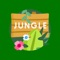 Virtual Jungle Safari is a video based iOS app focusing kids for iPhone, iPod and iPad