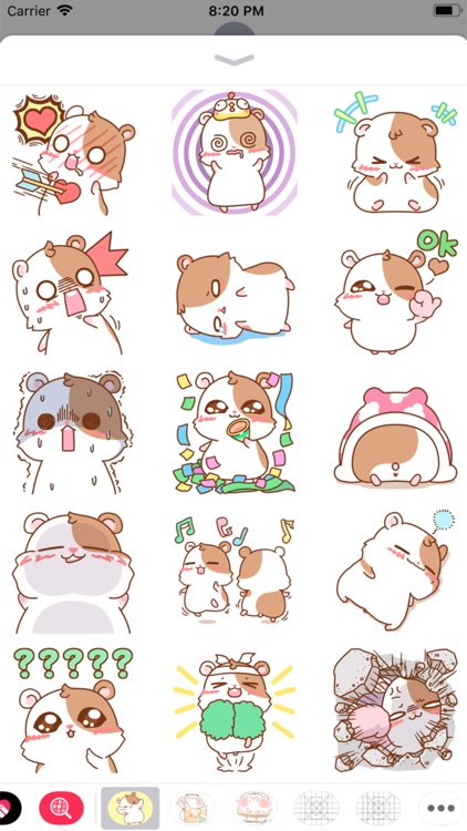 A cute and lovely hamster ever