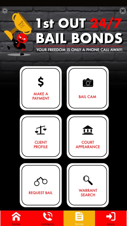 1st Out 24/7 Bail Bonds