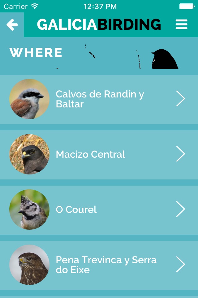 Galicia Birding screenshot 2