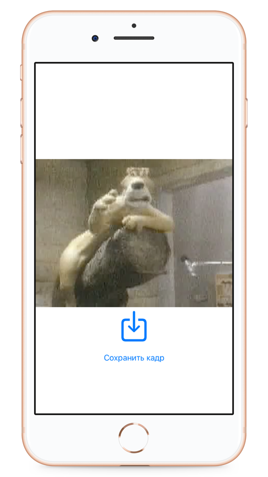 #7. VideoFrame screenshots & poses (iOS) 由: Aleksey Kuznetsov