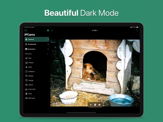 IP Camera Viewer - IPCams iPad app afbeelding 6