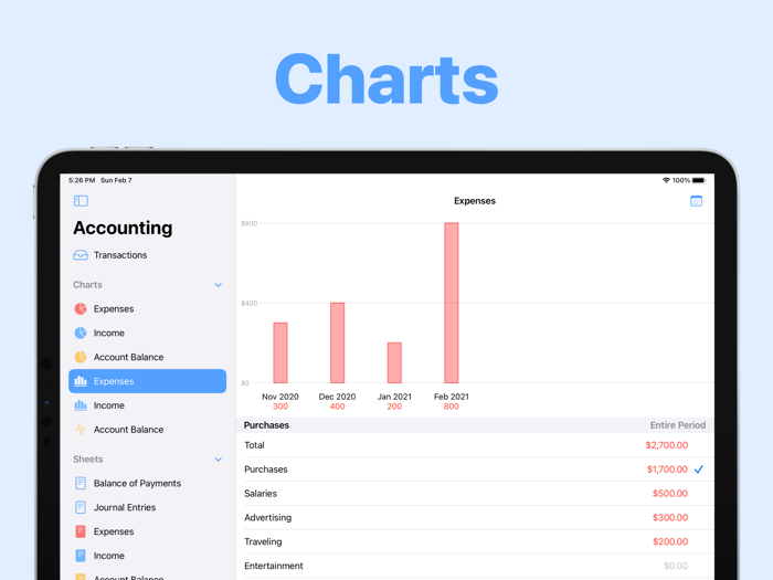 Small Business Accounting