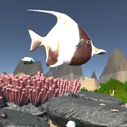 Tropical fish oasis Cheats