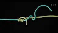 Fishing Knots iphone bilder 2