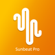 SUNBEAT ENERGY Partner