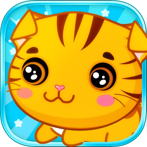 Pet Cat at Home icon