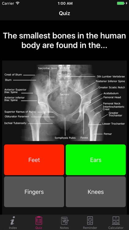 Amazing Human Body Facts, Quiz