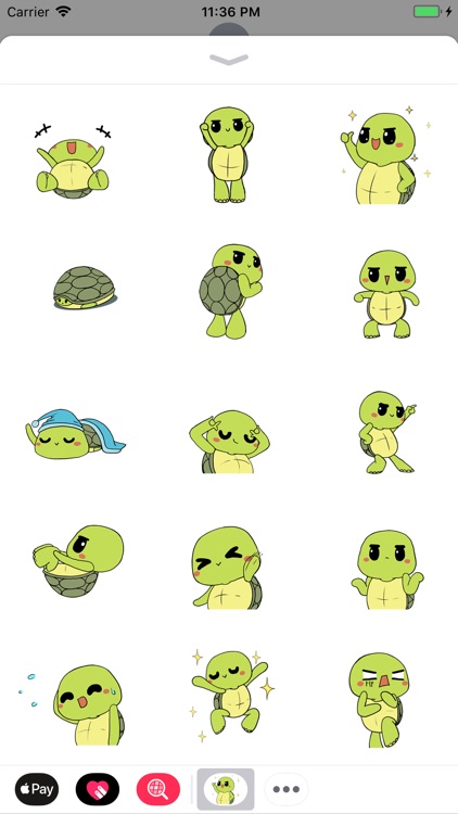 Green Turtle Boy Animated