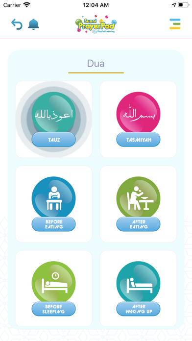 Sunni Prayer Pad Screenshot