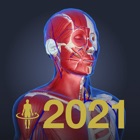 3D anatomy teamLabBody2020