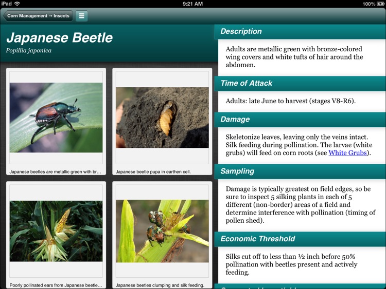Purdue Corn & Soybean Guide