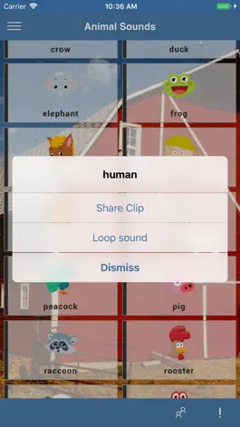 Game screenshot Animal Sounds (Ape Apps) hack