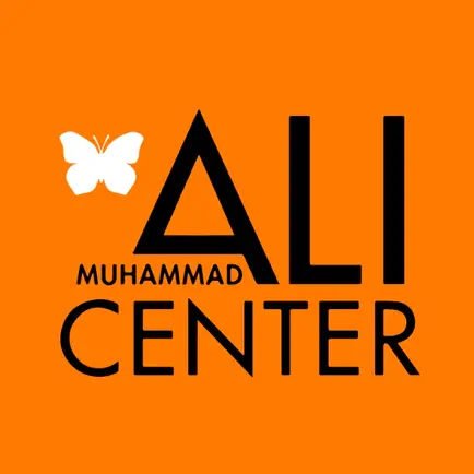 Ali Experience Читы