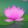 Meditation Without Borders - iPhoneアプリ