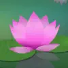Meditation Without Borders App Positive Reviews