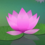 Download Meditation Without Borders app