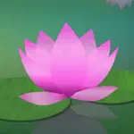 Meditation Without Borders App Negative Reviews