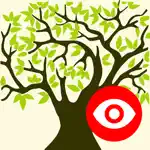 Family Tree Explorer Viewer App Contact