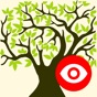 Family Tree Explorer Viewer app download