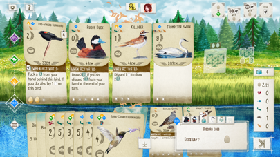 Wingspan: The Board Game Screenshot