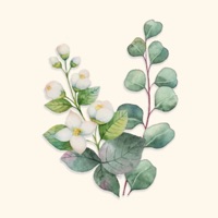 Bloom Flower Stickers logo