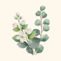 Bloom Flower Stickers app download