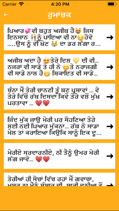 Punjabi Shayari & Hindi Poetry screenshot 3