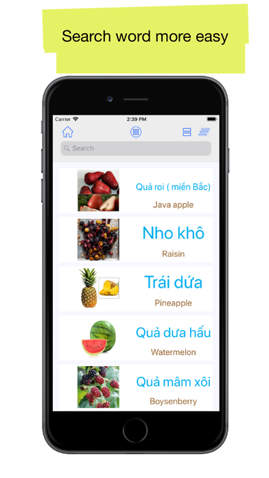 Vietnamese 90000 WordsPictures Screenshot