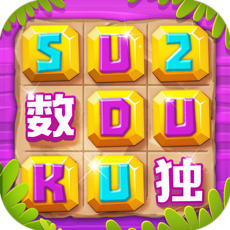 Activities of Sudoku - puzzles with numbers