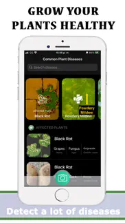 plants diseases identifier iphone screenshot 3