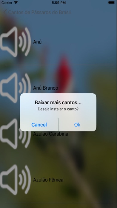 Cantos de Pássaros Brasileiros screenshot 4