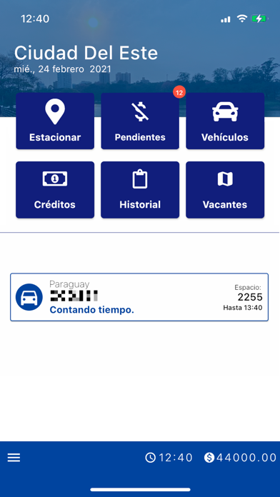 Estacionamiento Digital CDE Screenshot