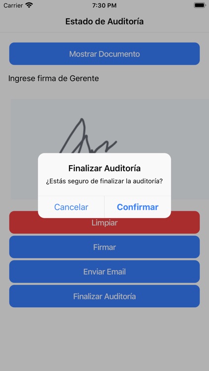 Auditores Application screenshot-8