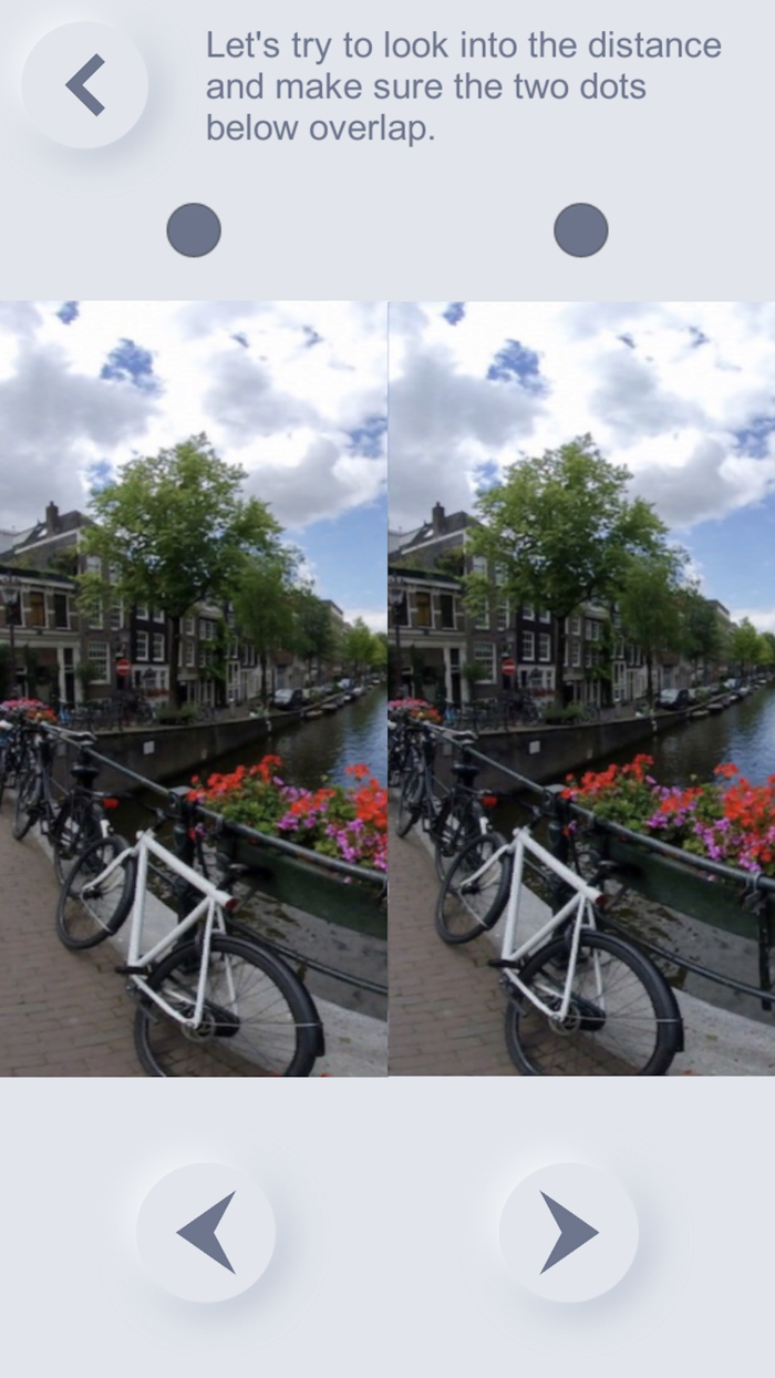 Stereogram Vision Training