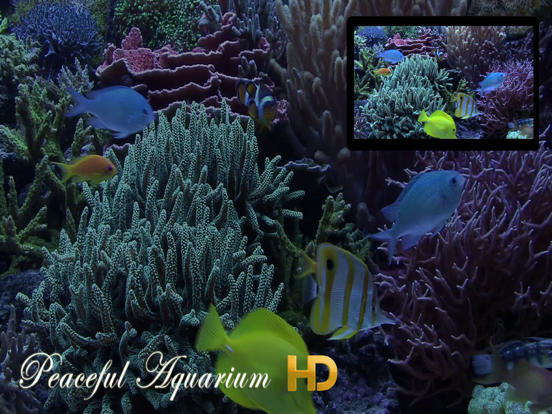 Screenshot #4 pour Peaceful Aquarium HD