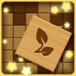 Block Puzzle: Hidden Pic App Support