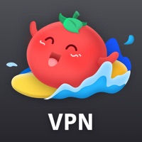 VPN Tomato Pro - Fast & Secure