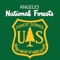 The official app of the Angeles National Forest