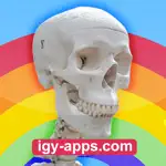 Anatomy AR 4D App Contact