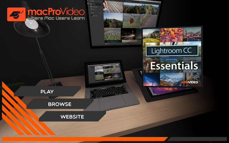 Essentials 101 Lightroom CC thumbnail 1